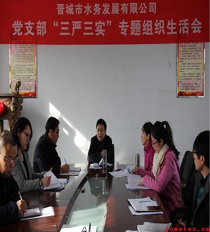 市水務(wù)公司黨支部召開“三嚴三實”專題組織生活會